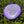 Load image into Gallery viewer, DiscGod Mystery Box - Innova Halo Star Polecat