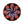 Load image into Gallery viewer, Dark Star - Discs By Drake - Fall Collection