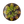 Load image into Gallery viewer, Dark Star - Discs By Drake - 2023 Drop 1