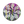 Load image into Gallery viewer, Dark Star - Discs By Drake - 2023 Drop 1