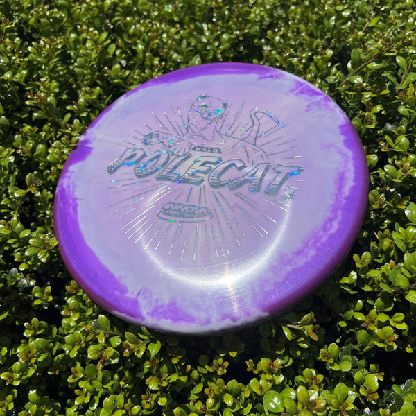 DiscGod Mystery Box - Innova Halo Star Polecat