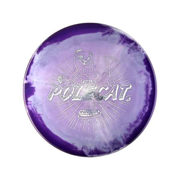 DiscGod Mystery Box - Innova Halo Star Polecat